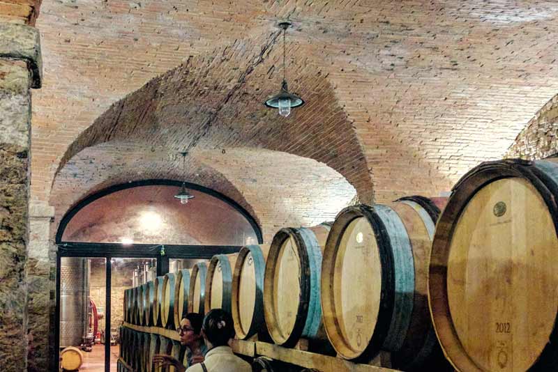 Wine Barrels at a Vineyard in Italy near Bolgheri