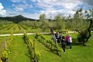 Chicca with guests at Chiappini Winery (Bio) wine tour