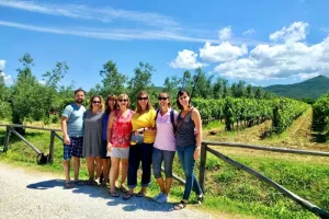 Guests in front of Vineyard in at Chiappini Winery, Bolgheri Tuscany