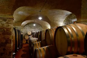 Rows and layers of barrels of wine in the wine cellar at Castello di Bolgheri Estate