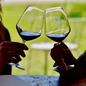 Salute - Wine tasting at Chiappini Winery (Bio-dynamic wine)