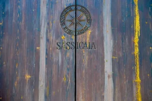 Sassicaia logo carved into wooden door to the wine cellar