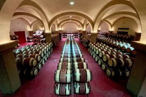 The Wine Argentiera wine cellar with arches and long rows of wine barrels