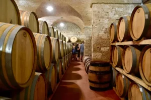 Tour guests standing at the end of a long row of wine barrels in the wine cellar at Castello di Bolgheri Estate