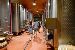 Tour guests walking along the wine production stainless steel tanks at Castello di Bolgheri Estate