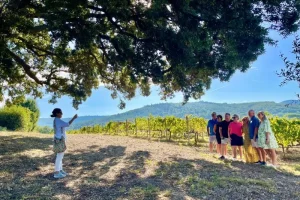 Tuscan food and wine tour guests pictured in front of the vineyard rows at Grattamacco