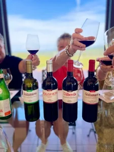 Tuscan food and wine trip guests enjoying red wine at Grattamacco (Bio) Vineyard Estate
