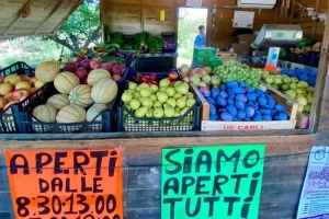 At the market buying fresh vegetables in Toscana