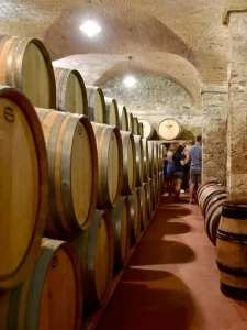 Guests in wine cellar with iles of wine barrels