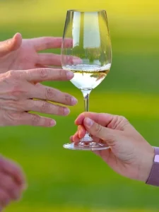 Guests sharing glasses of white wine before tasting