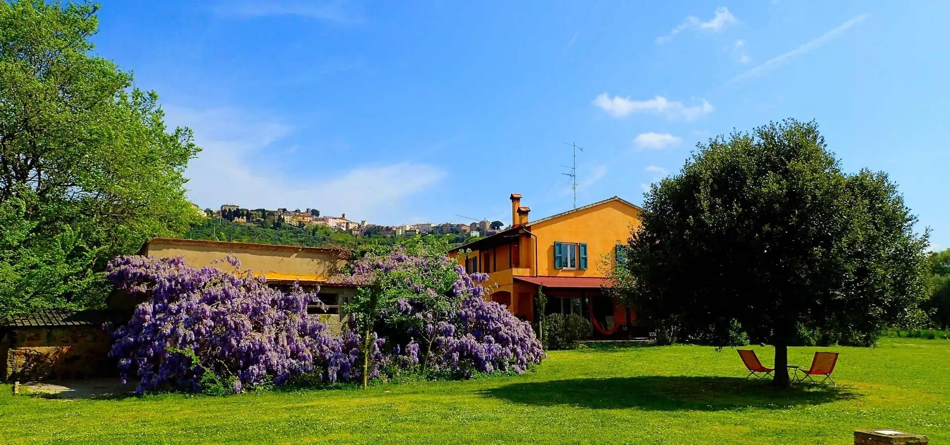 Picture of La Casa Toscana and garden in Bolgheri Tuscany