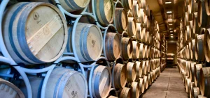 The iles of wine barrels in wine cellar at Sassicaia Estate