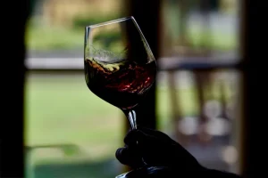 Winemaker guiding guests on how to smell, taste, and experience the wine