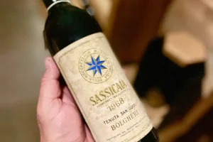 Winemarker at Sassicaia showing a 1968 bottle of Sassicaia cabernet sauvignon - Tenuta San Guido Bolgheri